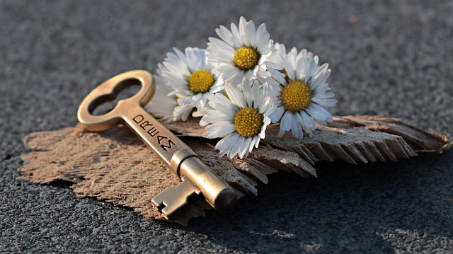 Seelenparner, Dualseele, Liste,